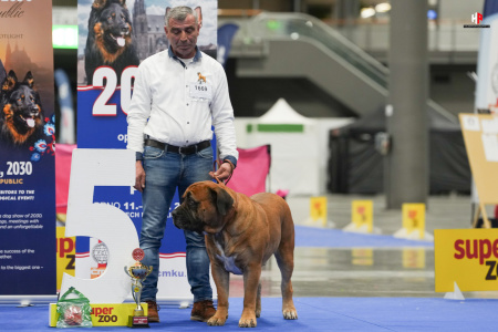 LH105472_hajekphotography.cz