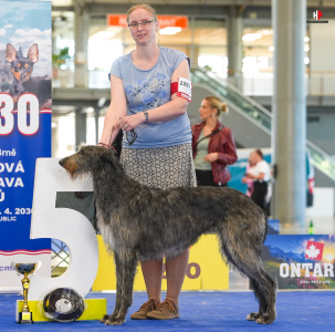 LH500403_hajekphotography.cz