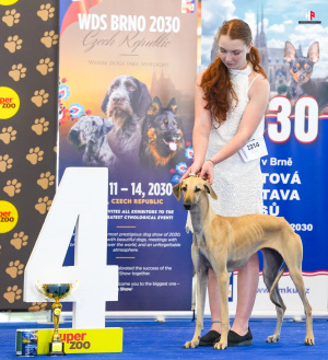 LH500430_hajekphotography.cz