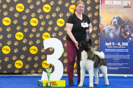 LH507404_hajekphotography.cz