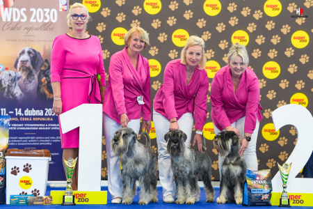 LH508364_hajekphotography.cz