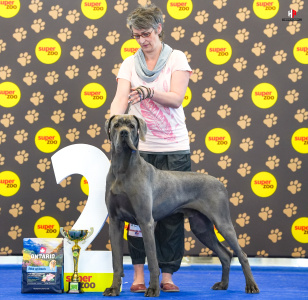 LH508622_hajekphotography.cz