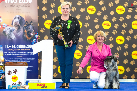 LH508660_hajekphotography.cz