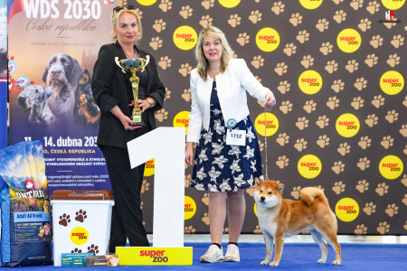 LH508881_hajekphotography.cz