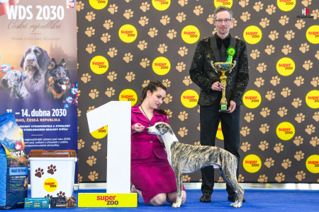 LH509388_hajekphotography.cz