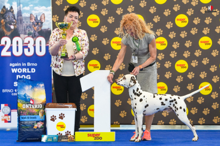 LH500316_hajekphotography.cz