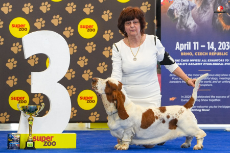 LH500327_hajekphotography.cz