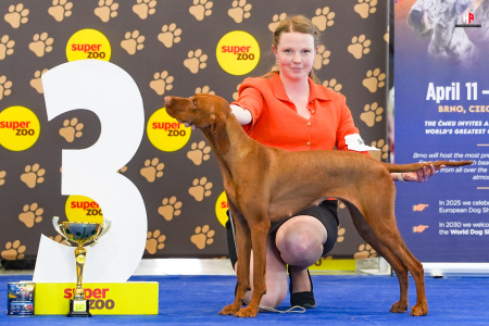 LH500870_hajekphotography.cz