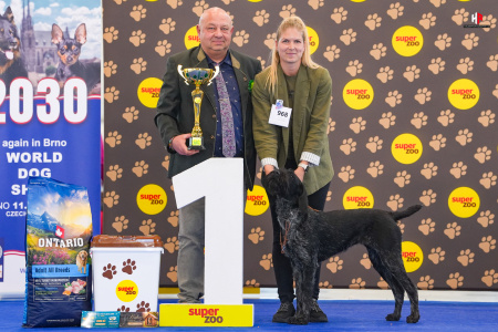 LH500886_hajekphotography.cz