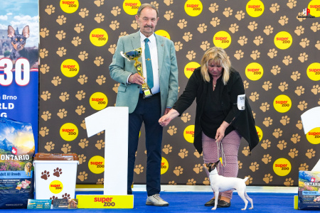 LH501898_hajekphotography.cz