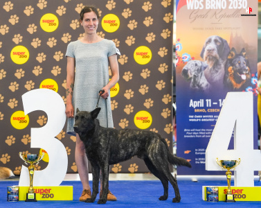 LH502375_hajekphotography.cz