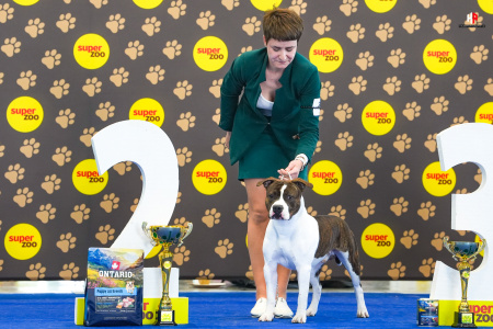 LH502961_hajekphotography.cz