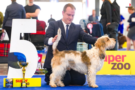 LH503771_hajekphotography.cz