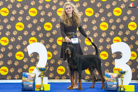 LH503804_hajekphotography.cz