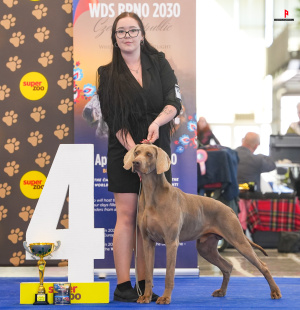 LH503877_hajekphotography.cz