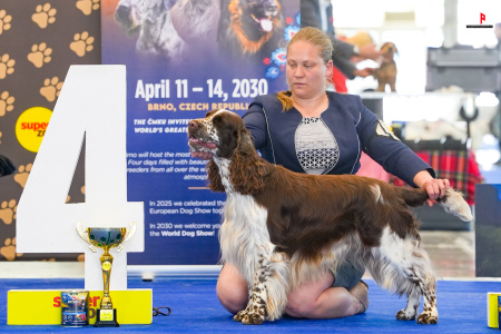 LH504345_hajekphotography.cz