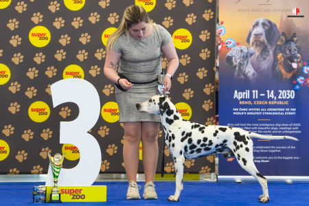 LH504776_hajekphotography.cz