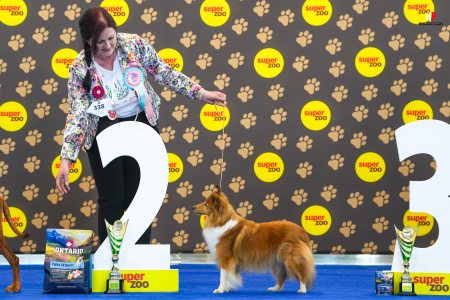 LH504798_hajekphotography.cz