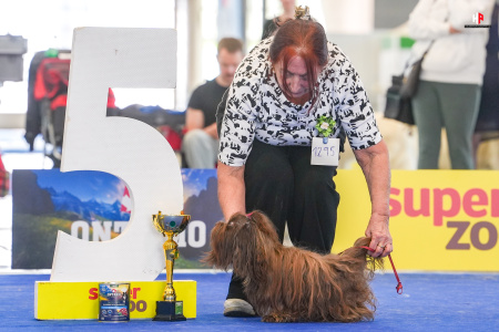 LH504851_hajekphotography.cz