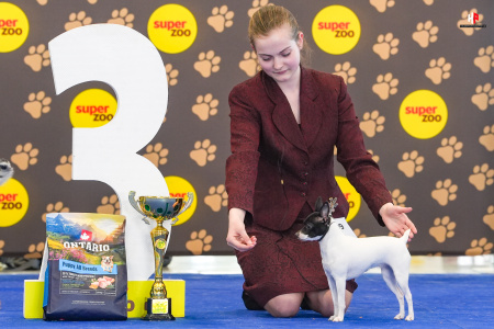 LH504880_hajekphotography.cz