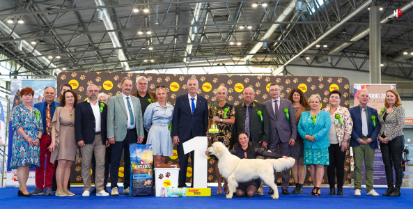 LH505990_hajekphotography.cz