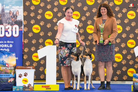 LH506431_hajekphotography.cz