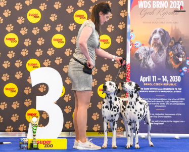 LH506469_hajekphotography.cz