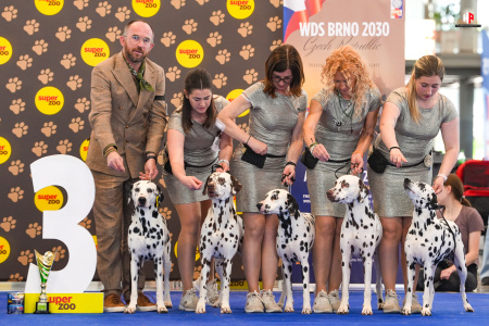 LH507203_hajekphotography.cz