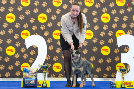 LH508143_hajekphotography.cz