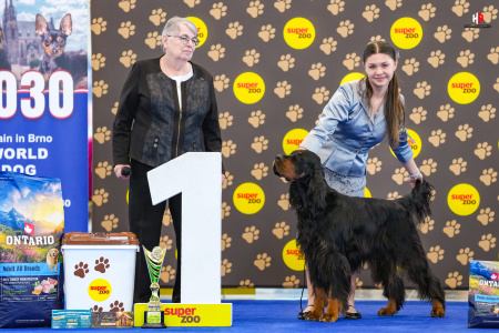 LH206929_hajekphotography.cz