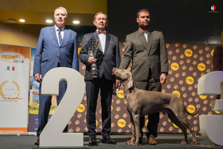 LH508616_hajekphotography.cz