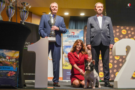 LH509026_hajekphotography.cz