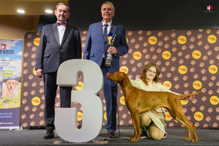 LH501295_hajekphotography.cz