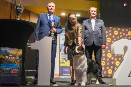 LH501368_hajekphotography.cz