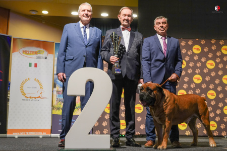 LH509632_hajekphotography.cz