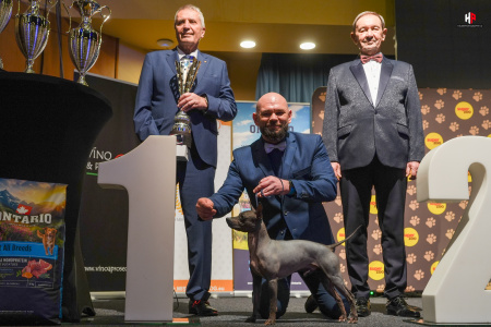 LH509692_hajekphotography.cz