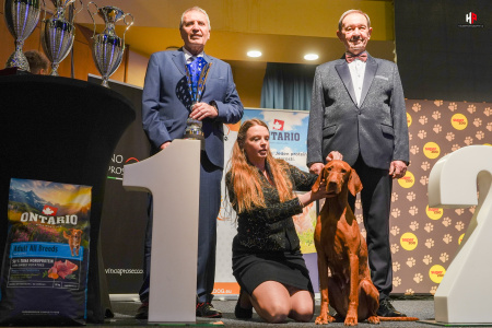 LH500648_hajekphotography.cz