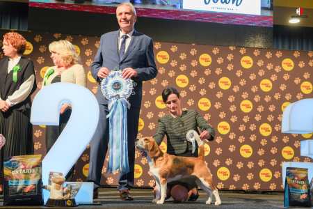 LH502788_hajekphotography.cz