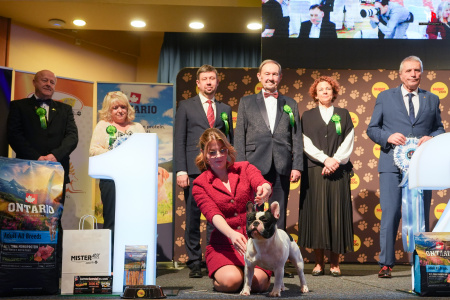 LH503320_hajekphotography.cz