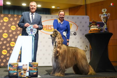 LH503409_hajekphotography.cz