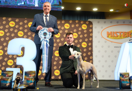 LH503444_hajekphotography.cz